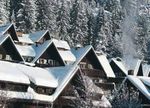 La Borsa di Scambio e Locazioni* 2019 - Apco Srl