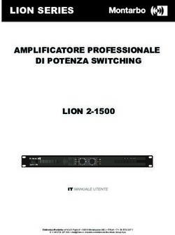 AMPLIFICATORE PROFESSIONALE DI POTENZA SWITCHING LION 2-1500