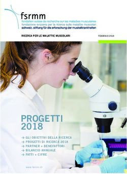 PROGETTI 2018 GLI OBIETTIVI D ELLA RICERCA PROGETTI DI RICERCA 2018 PARTNER + BENEFATTORI BILANCIO ANNUALE FATTI + CIFRE