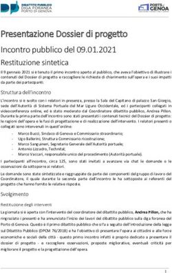 Presentazione Dossier di progetto Incontro pubblico del 09.01.2021