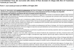 Controdeduzioni Terna alle osservazioni sullo schema di Piano decennale di sviluppo della Rete di Trasmissione Nazionale per l'anno 2018 Parte I ...
