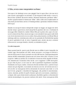 L' Elba, ovvero come comprendere un fiume - Sophie Lange - Environment ...