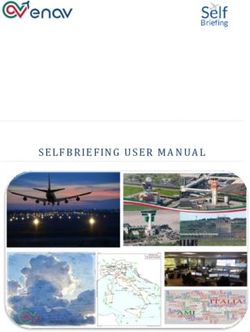 SELFBRIEFING USER MANUAL - Enav