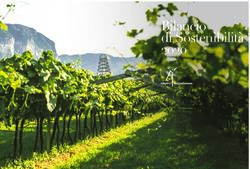 Bilancio di Sostenibilità - Gruppo Mezzacorona