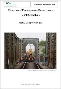 VENEZIA - DIREZIONE TERRITORIALE PRODUZIONE - PIANO DI ATTIVITÀ 2013 - PIANO DI ATTIVITÀ 2013