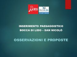 OSSERVAZIONI E PROPOSTE - INSERIMENTO PAESAGGISTICO BOCCA DI LIDO - SAN NICOLÒ - Consorzio Venezia Nuova