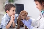 ASSISTENTE DI STUDIO VETERINARIO ANIMAL CARE - CORSO PER