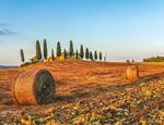 DALLA NOSTRA COOPERATIVA GARANZIA DI FILIERA TOSCANA - Agrifood Toscana