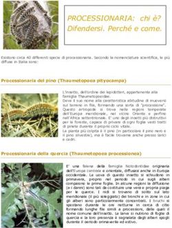 PROCESSIONARIA: chi è? Difendersi. Perché e come - Comune di Truccazzano