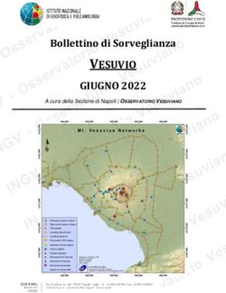 VESUVIO GIUGNO 2022 Bollettino di Sorveglianza
