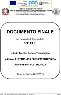 DOCUMENTO FINALE - Mantova