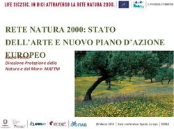 RETE NATURA 2000: STATO DELL'ARTE E NUOVO PIANO D'AZIONE EUROPEO - Laura Pettiti Direzione Protezione della Natura e del Mare-MATTM - Ispra