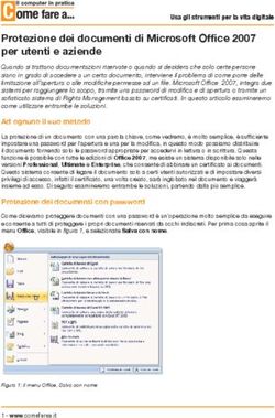 Protezione dei documenti di Microsoft Offi ce 2007 per utenti e aziende