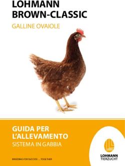 LOHMANN BROWN-CLASSIC - GALLINE OVAIOLE - GUIDA PER L'ALLEVAMENTO