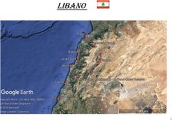 LIBANO - Lanterna del Viaggiatore