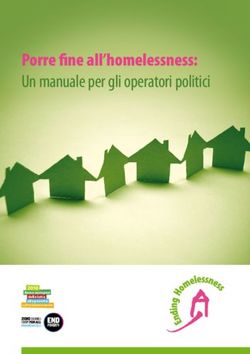 Porre fine all'homelessness: Un manuale per gli operatori politici 2010