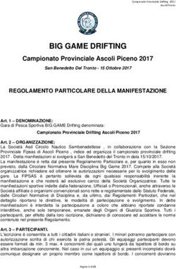 BIG GAME DRIFTING Campionato Provinciale Ascoli Piceno 2017 - Npcloud.It