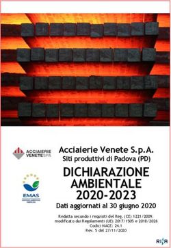 DICHIARAZIONE Acciaierie Venete S.p.A. Siti produttivi di Padova (PD) - Acciaierie Venete