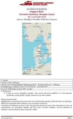 DIARIO DI BORDO Viaggio al Nord: Germania, Danimarca, Norvegia e Svezia - Associazione ...
