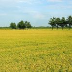 Nord est 2019 Progetto Antenne - IRES Piemonte