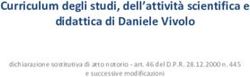 Curriculum degli studi, dell'attività scientifica e didattica di Daniele Vivolo - dichiarazione sostitutiva di atto notorio - art. 46 del D.P.R ...