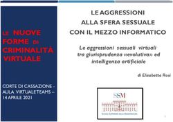 LE NUOVE FORME DI CRIMINALIT&Agrave; VIRTUALE