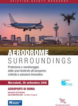 AERODROME - Eagle Sky Light