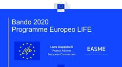 Bando 2020 Programme Europeo LIFE - Laura Giappichelli Project Adviser European Commission