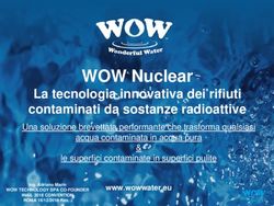 WOW Nuclear La tecnologia innovativa dei rifiuti contaminati da sostanze radioattive - INAIL