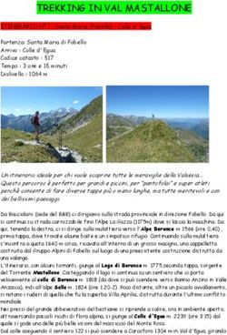 TREKKING IN VAL MASTALLONE