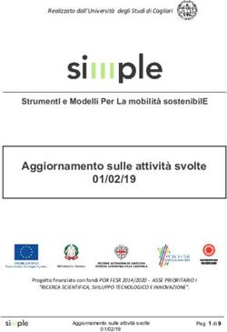 Aggiornamento sulle attività svolte 01/02/19 - StrumentI e Modelli Per La mobilità sostenibilE - SIMPLE