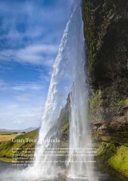 Gran Tour d'Islanda - Island Tours