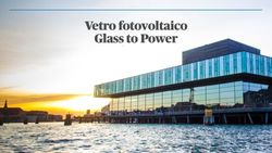 Vetro fotovoltaico Glass to Power - Bull