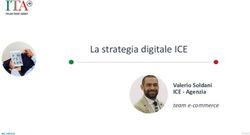 La strategia digitale ICE - Valerio Soldani ICE - Agenzia team e-commerce - Ervet