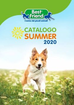 SUMMER CATALOGO - Best Friend