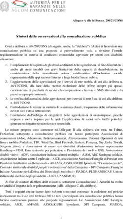 Sintesi delle osservazioni alla consultazione pubblica - AGCOM
