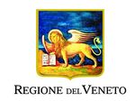 Effetti del lockdown durante l'emergenza COVID-19 in Veneto - Valutazione dei livelli di inquinanti in aria e delle emissioni in atmosfera ...