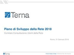 Piano di Sviluppo della Rete 2018 - Comitato Consultazione Utenti della Rete Roma, 31 Gennaio 2018