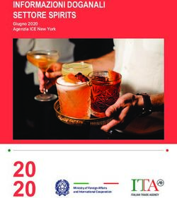 20 INFORMAZIONI DOGANALI SETTORE SPIRITS Giugno 2020 Agenzia ICE New York - Consolato ...