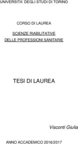 TESI DI LAUREA Visconti Giulia - Neo-N