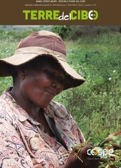 Terre cib terre cib terre cib - del del del - BABEL COSPE NEWS - SPECIALE TERRE DEL CIBO - COSPE Onlus