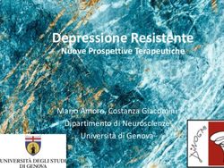 Depressione Resistente - Nuove Prospettive Terapeutiche Mario Amore, Costanza Giacomini - More Comunicazione