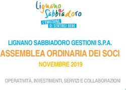 ASSEMBLEA ORDINARIA DEI SOCI - LIGNANO SABBIADORO GESTIONI S.P.A. NOVEMBRE 2019 OPERATIVITÀ, INVESTIMENTI, SERVIZI E COLLABORAZIONI
