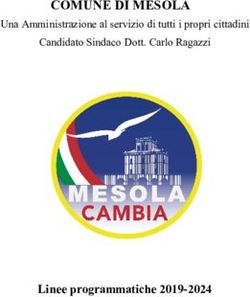 COMUNE DI MESOLA - Linee programmatiche 2019-2024 - Una Amministrazione al servizio di tutti i propri cittadini - Mesola Cambia