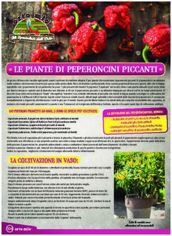 LE PIANTE DI PEPERONCINI PICCANTI - Orto Mio