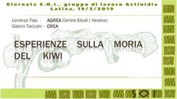 ESPERIENZE SULLA MORIA DEL KIWI - Lorenzo Tosi - Gianni Tacconi - CREA AGREA Centro Studi ( Verona) - L Tosi