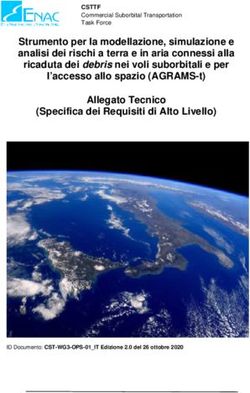 Strumento per la modellazione, simulazione e analisi dei rischi a terra e in aria connessi alla ricaduta dei debris nei voli suborbitali e per ...
