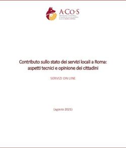 Contributo sullo stato dei servizi locali a Roma: aspetti tecnici e opinione dei cittadini - SERVIZI ON LINE