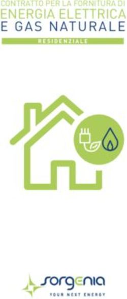 ENERGIA ELETTRICA E GAS NATURALE - CONTRATTO PER LA FORNITURA DI