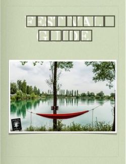 FESTIVAL GUIDE - Zion Station festival